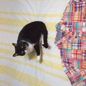 Men's Large, Lands End short sleeve work shirt, button-down